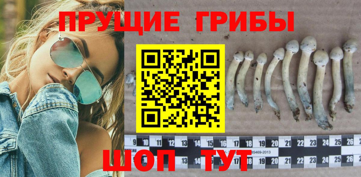 Меф МЯУ МЯУ   Тавда  Вход с VPN  ГАШ  A-PVP СК кристаллы  NBOMe 