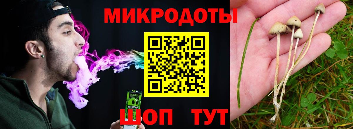 Тавда  Галлюциногенные грибы прущие грибы  купить закладку  Вход с VPN 